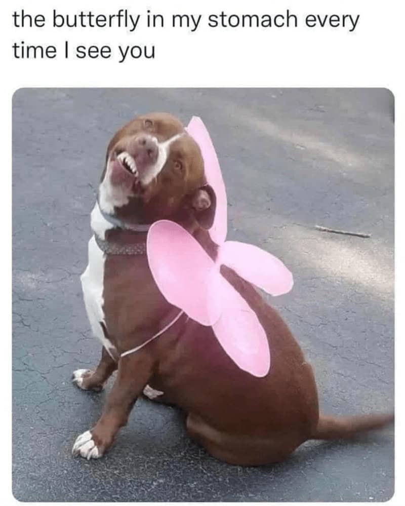 relationship memes, couple memes, Funny Relationship Memes, Couples Memes, Love Life Memes, Romantic Comedy Memes, Partnership Humor, Significant Other Jokes