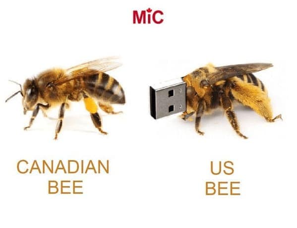 tech memes, technology memes, technology jokes, computer memes, IT memes