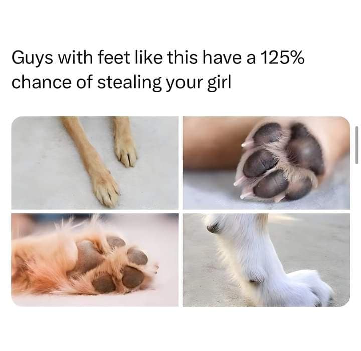 classic memes, vintage memes, viral tweets, Meme History, Viral Trends, Nostalgic Content, Iconic Memes, old memes