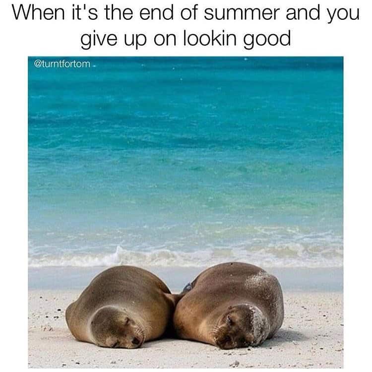 fall memes, autumn memes, end of summer memes
