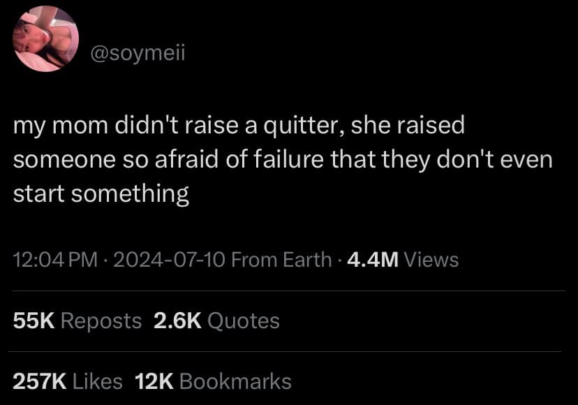 my mom didn't raise a quitter, she raised someone so afraid of failure that they don't even start something