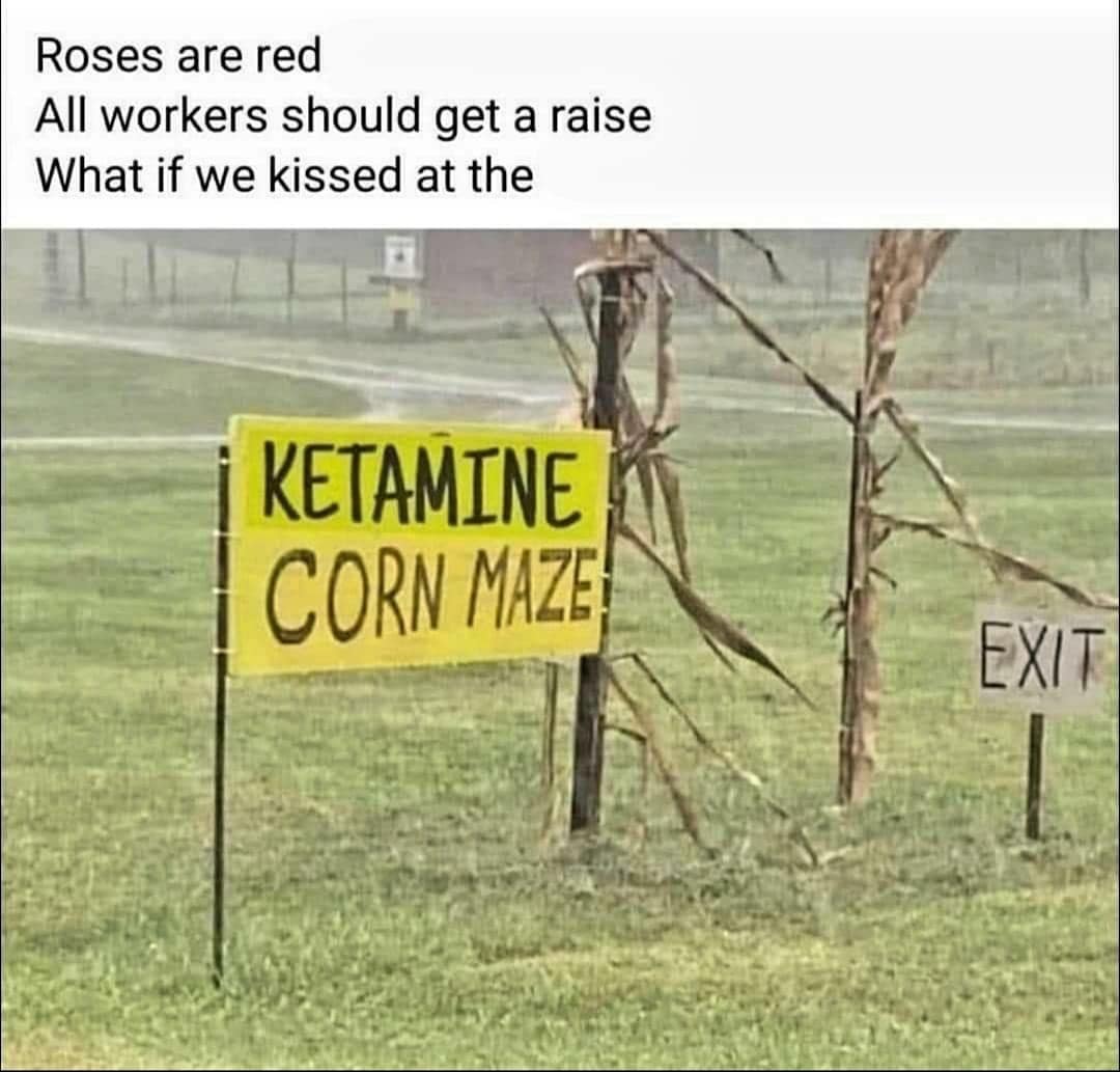Roses are red All workers should get a raise What if we kissed at the
