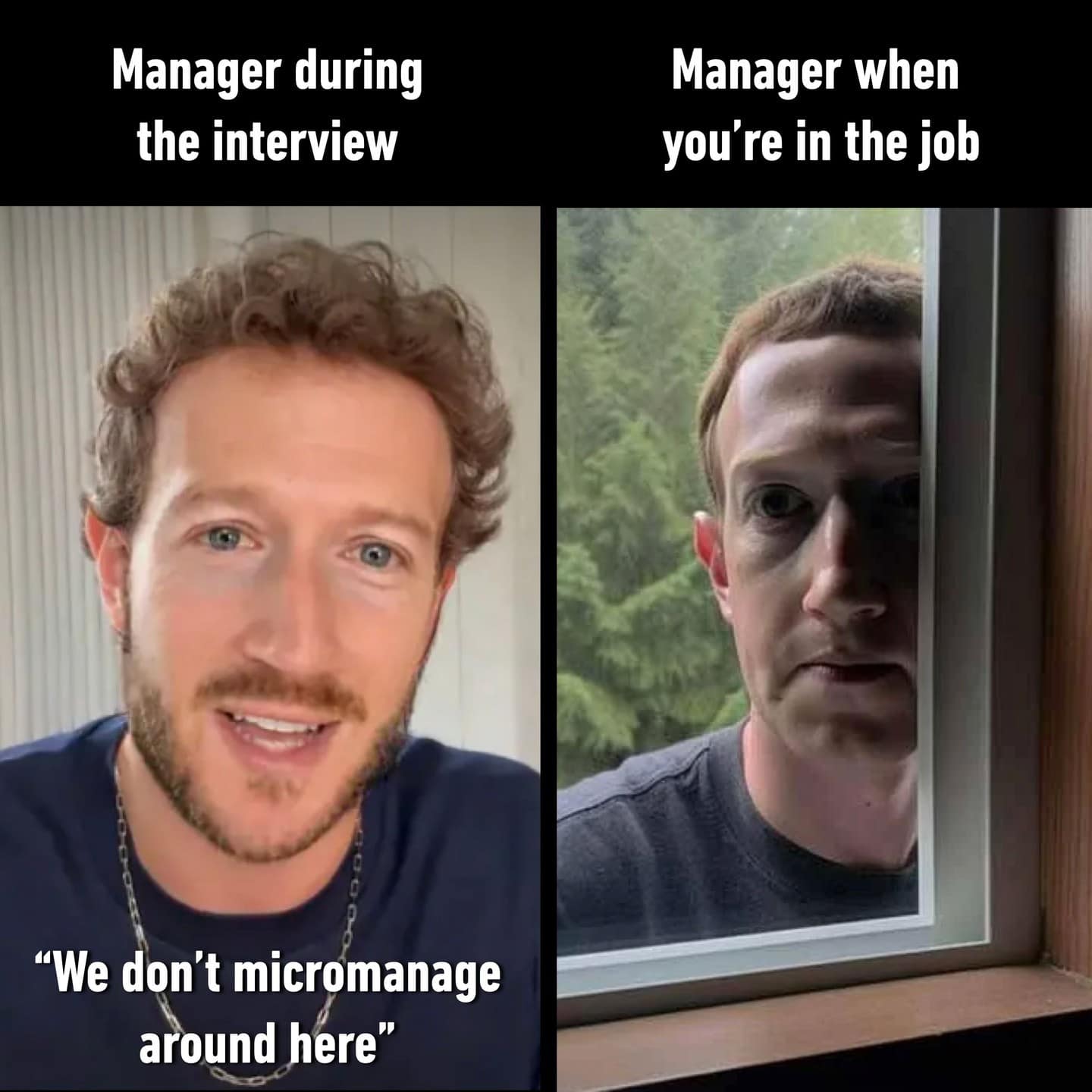 meme dump, hilarious memes, funny memes