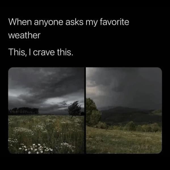 relatable memes, Funny Memes, Hilarious Memes, Amusing Memes