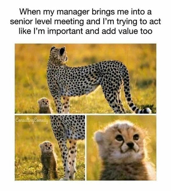 work memes. When my manager brings me into a senior level meeting and I'm trying to act like I'm important and add value too