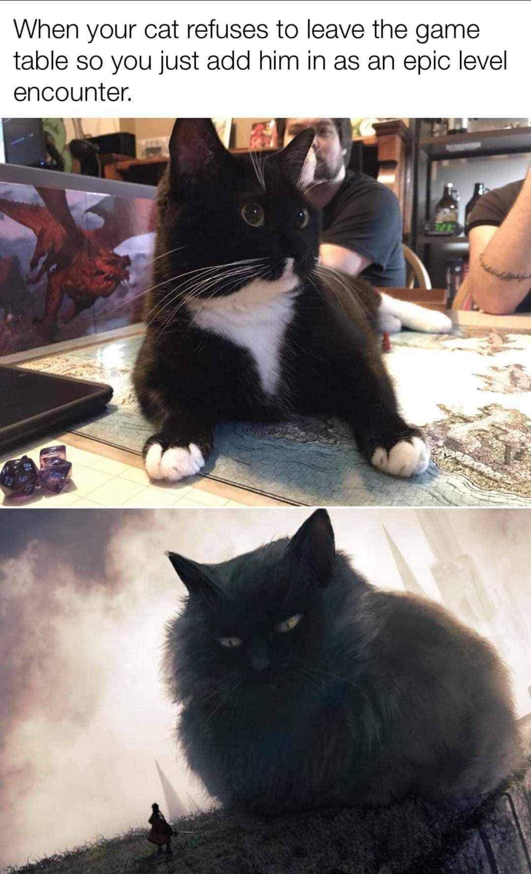 dnd memes, d&d memes, funny d&d memes, Dungeons & dragons memes