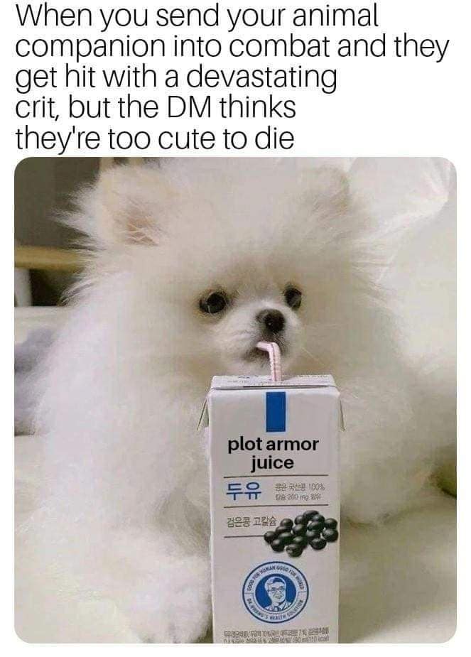 dnd memes, d&d memes, funny d&d memes, Dungeons & dragons memes