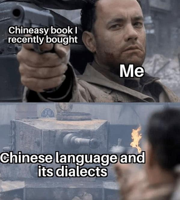 language memes, polyglot memes, multilingual memes, funny language memes, language learning memes, funny foreign language moments, anguage struggles, grammar mistakes humor, translation humor