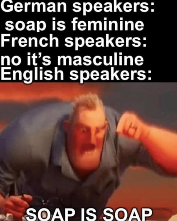 language memes, polyglot memes, multilingual memes, funny language memes, language learning memes, funny foreign language moments, anguage struggles, grammar mistakes humor, translation humor