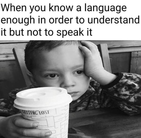 language memes, polyglot memes, multilingual memes, funny language memes, language learning memes, funny foreign language moments, anguage struggles, grammar mistakes humor, translation humor