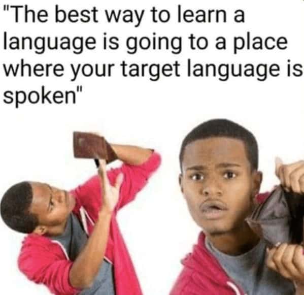 language memes, polyglot memes, multilingual memes, funny language memes, language learning memes, funny foreign language moments, anguage struggles, grammar mistakes humor, translation humor