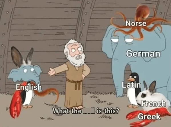language memes, polyglot memes, multilingual memes, funny language memes, language learning memes, funny foreign language moments, anguage struggles, grammar mistakes humor, translation humor
