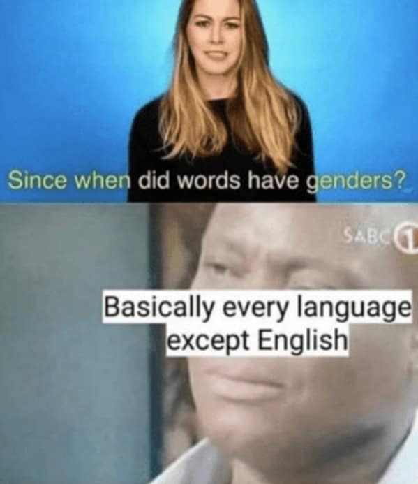 language memes, polyglot memes, multilingual memes, funny language memes, language learning memes, funny foreign language moments, anguage struggles, grammar mistakes humor, translation humor
