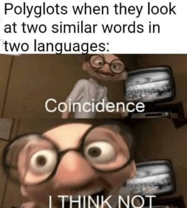 language memes, polyglot memes, multilingual memes, funny language memes, language learning memes, funny foreign language moments, anguage struggles, grammar mistakes humor, translation humor