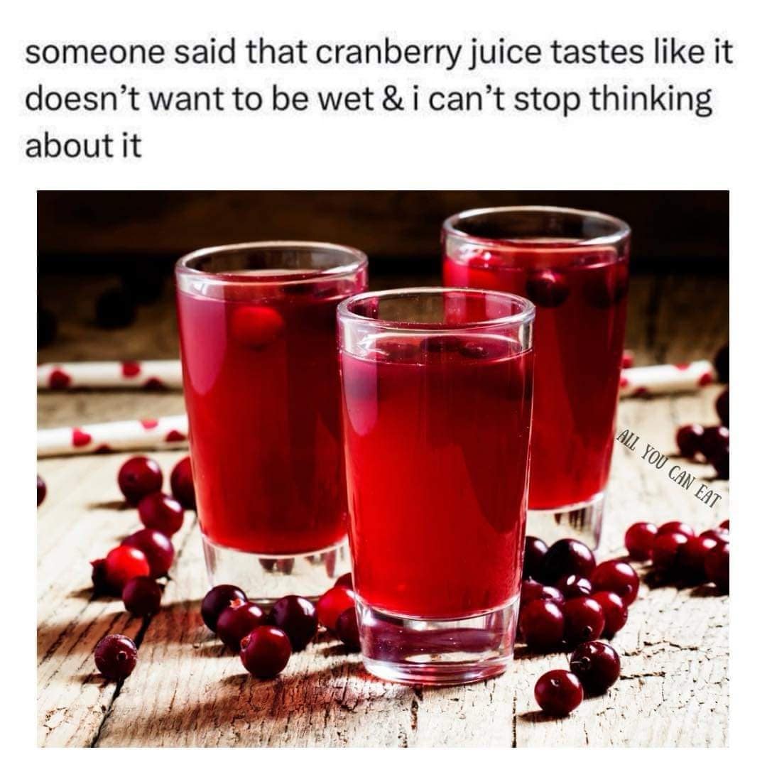 meme dump, funny memes, hilarious memes, Funny Lunch Break Content, Random Meme Compilation