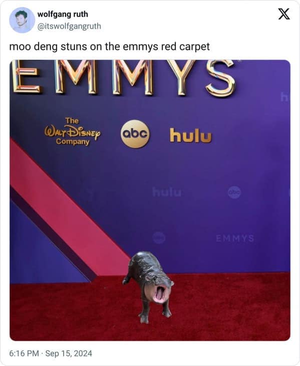 Moo deng memes, moo deng, Pygmy hippo memes