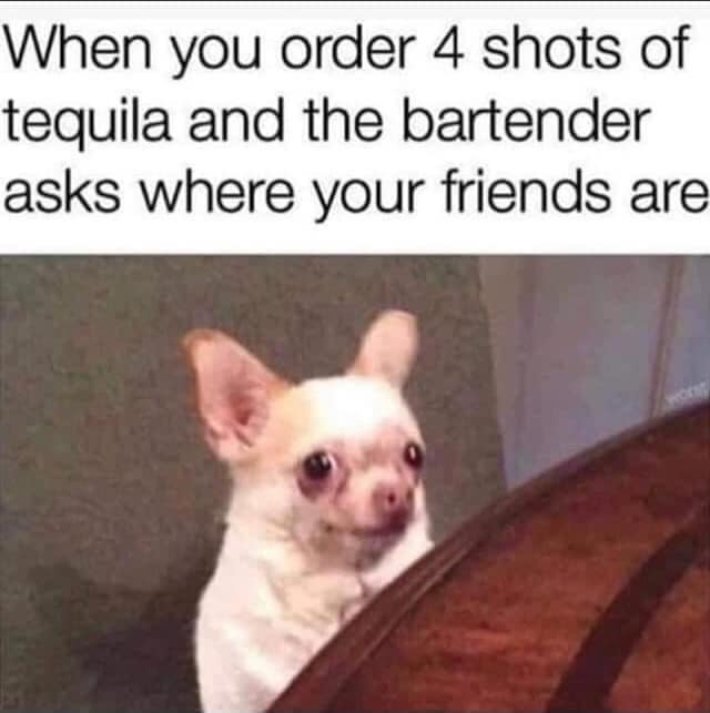 classic memes, vintage memes, viral tweets, funny memes, timeless memes, viral internet memes, popular tweets, relatable memes, trending tweets, internet humor, viral meme moments