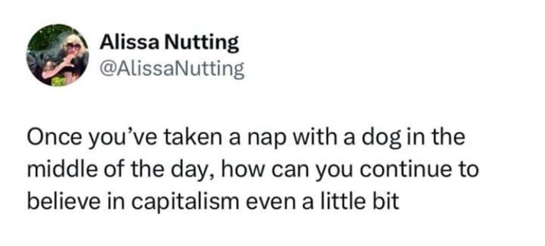 classic memes, vintage memes, viral tweets, Epic Tweets, Legendary Tweets, Funny Throwbacks, Hilarious Nostalgia, Amusing Internet History, Timeless Online Humor, Classic Internet Jokes, Iconic Meme References