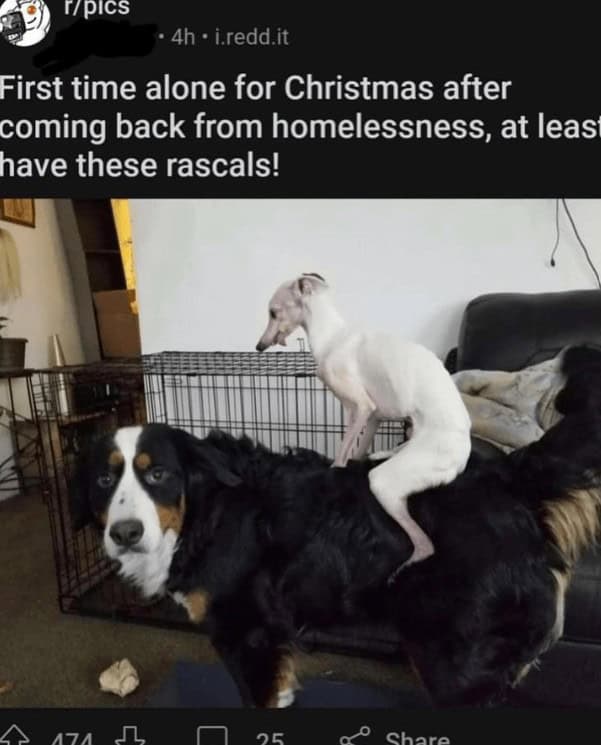 funny reddit posts
