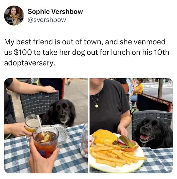 meme dump, funny memes, hilarious memes, Saturday memes, viral internet memes, internet humor, trending memes, laugh-out-loud memes