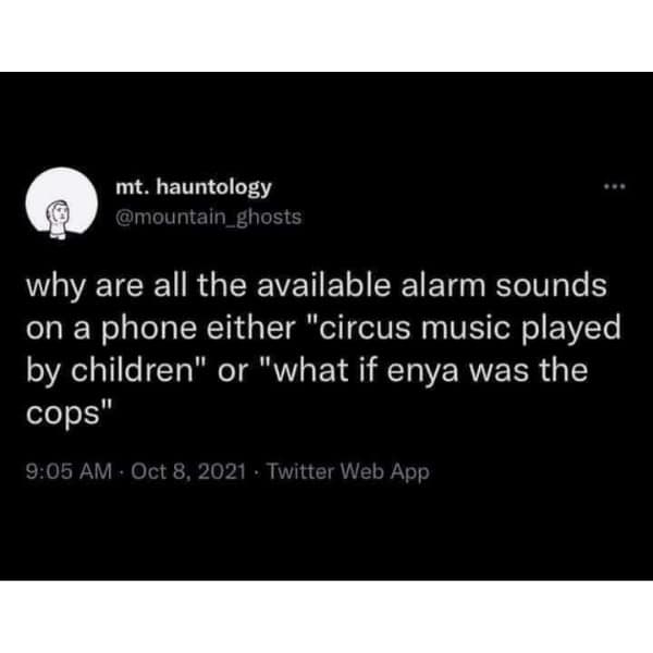 meme dump, funny memes, hilarious memes, trending internet memes, laugh-out-loud memes, internet humor, viral memes, relatable memes, random internet memes