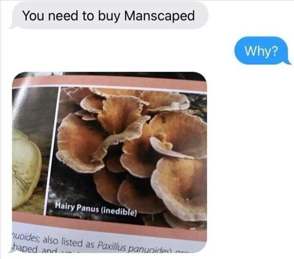 meme dump, funny memes, hilarious memes, lunch break memes, laugh-out-loud memes, amusing memes, midday memes, break time memes