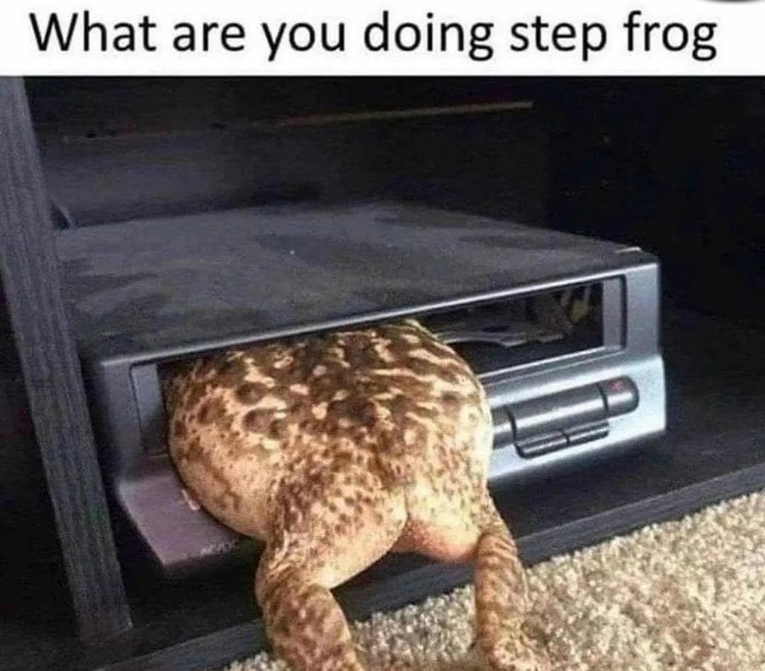 meme dump, funny memes, hilarious memes, lunch break memes, laugh-out-loud memes, amusing memes, midday memes, break time memes