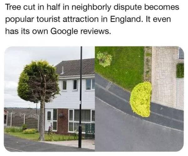 meme dump, funny memes, hilarious memes, viral memes, random memes, relatable memes, trending memes, laugh-out-loud memes, funny internet posts