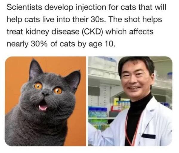 meme dump, funny memes, hilarious memes, trending internet memes, laugh-out-loud memes, internet humor, viral memes, relatable memes, random internet memes