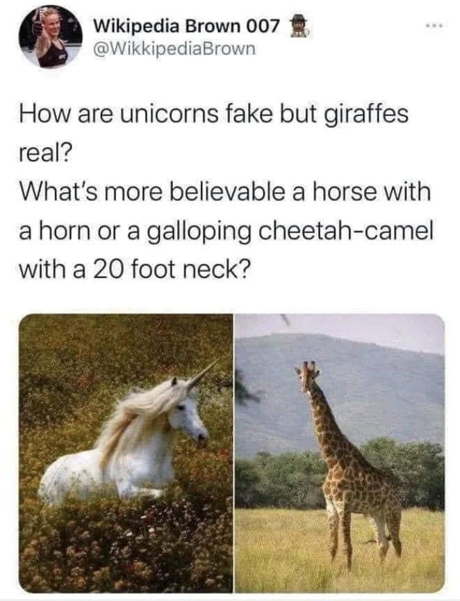 oddly specific memes, niche memes, specific interest memes, obscure online jokes, targeted humor memes