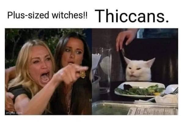 witch memes, witchy memes, witchcraft memes, magic memes, witch jokes, Halloween fun, magical memes