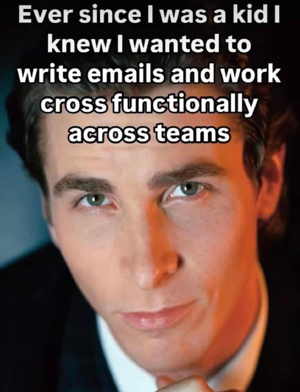 Ever since I was a kid I knew I wanted to write emails and work cross functionally across teams