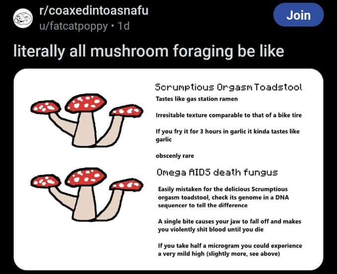 funny reddit posts, Reddit humor, amusing Reddit content, humorous Reddit posts, Reddit memes, Reddit funny pictures, Reddit viral posts, Internet humor, online jokes, social media humor, Viral content, trending posts, funny online posts