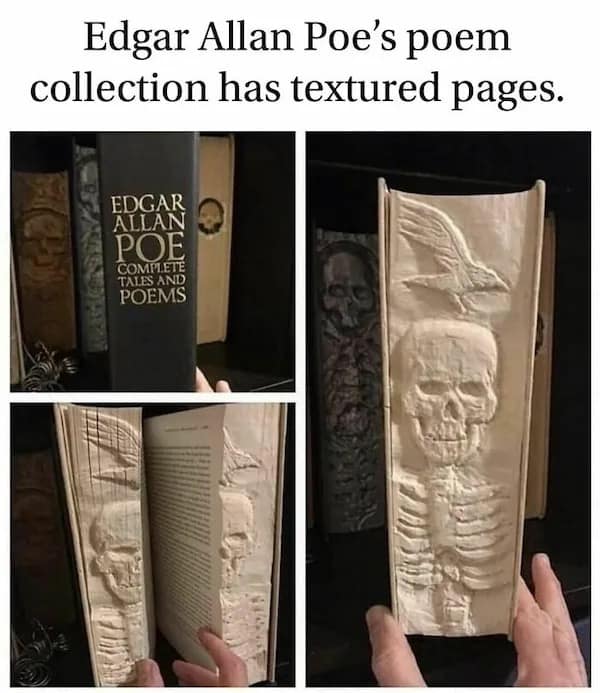 meme dump, funny memes, hilarious memes, lunch break meme dump, meme collection, funny meme assortment, viral memes, internet memes, humorous memes, trending memes, meme humor