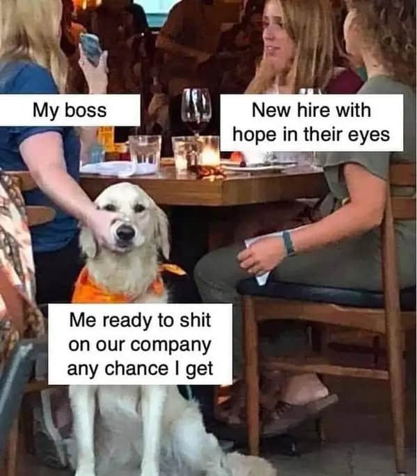 work memes, employment memes, office memes, workplace memes, work humor, office memes, professional humor, job memes, workplace humor, office jokes, corporate memes