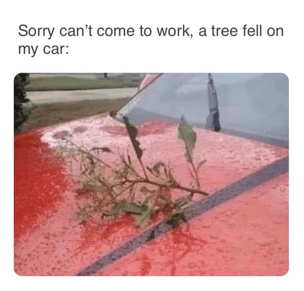 work memes, employment memes, office memes, workplace memes, work humor, office memes, professional humor, job memes, workplace humor, office jokes, corporate memes