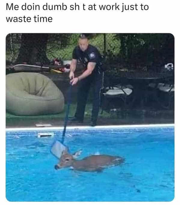 work memes, employment memes, office memes, workplace memes, work humor, office memes, professional humor, job memes, workplace humor, office jokes, corporate memes