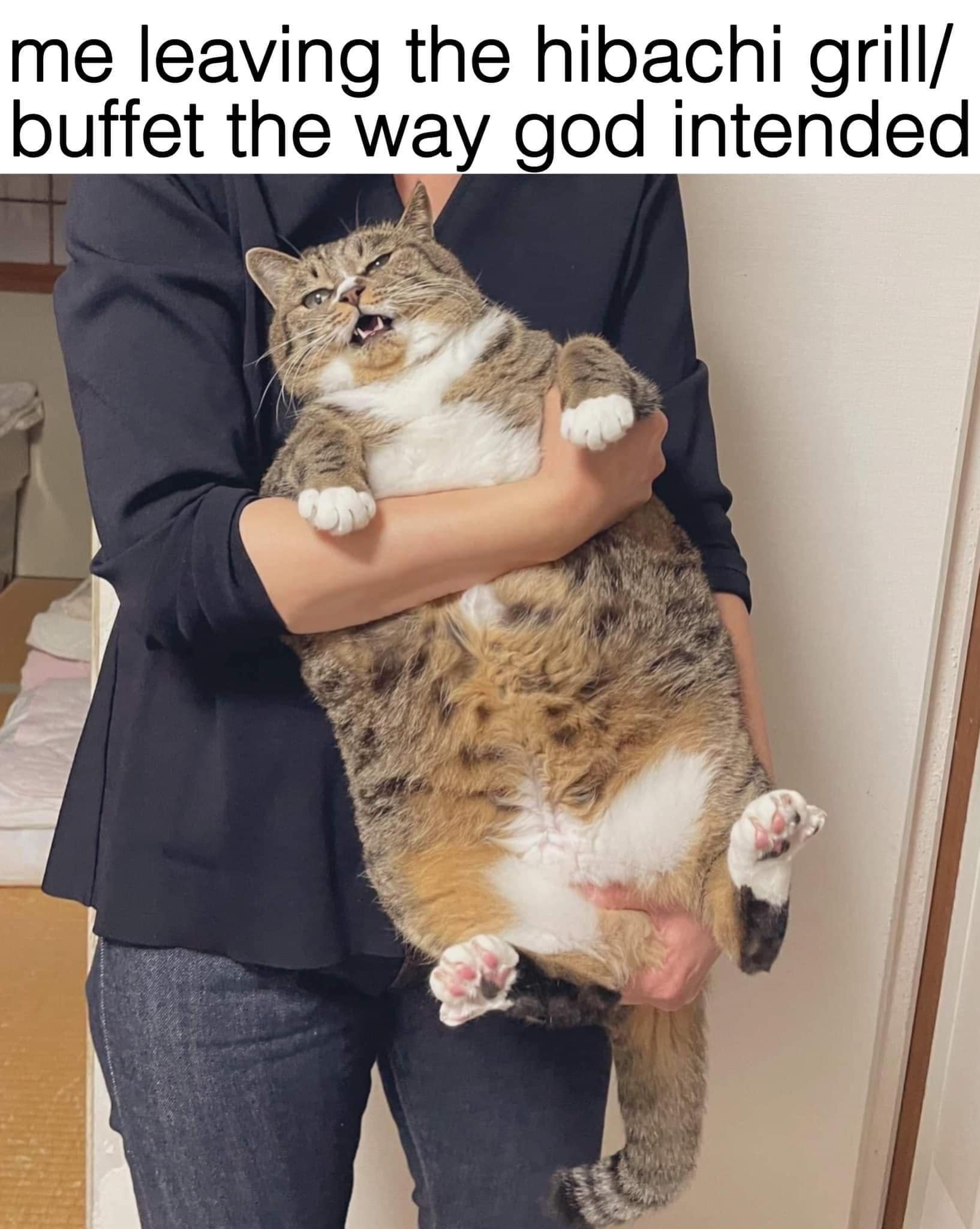 classic memes, vintage memes, viral tweets, best memes, old memes, Funny internet trends, Timeless humor