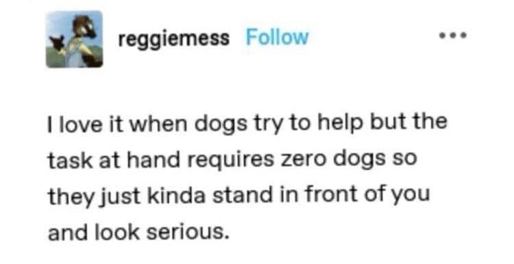 classic memes, vintage memes, viral tweets, best memes, old memes, Funny internet trends, Timeless humor