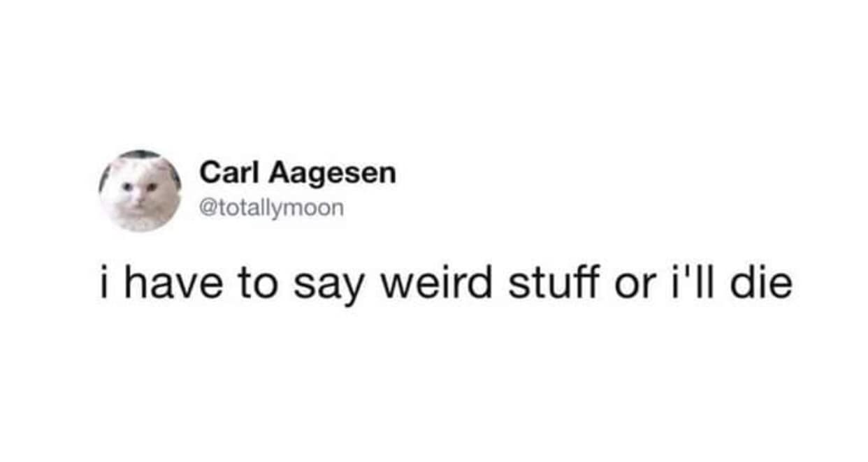 classic memes, vintage memes, viral tweets, vintage net laughter, old internet comedic pieces, perennial net jokes, popular memes, timeless memes, indefinite comedic references, longstanding net jokes, old jokes that endure