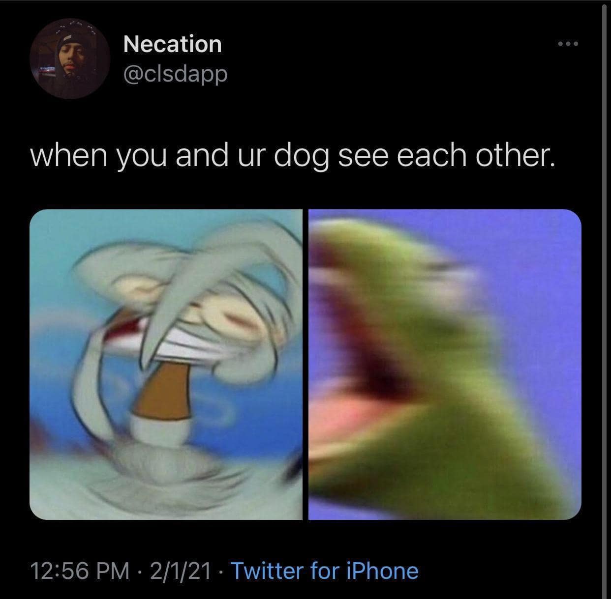 classic memes, vintage memes, viral tweets, vintage net laughter, old internet comedic pieces, perennial net jokes, popular memes, timeless memes, indefinite comedic references, longstanding net jokes, old jokes that endure