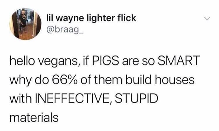 classic memes, vintage memes, viral tweets, old memes, best memes, enduring web jokes, vintage online humor, evergreen digital content, trending text posts, influential microblogs, widely shared statuses, timeless internet humor, enduring comedic references, online classics, perpetual gags, nostalgic memes, retro online fun, past-era digital entertainment, throwback favorites