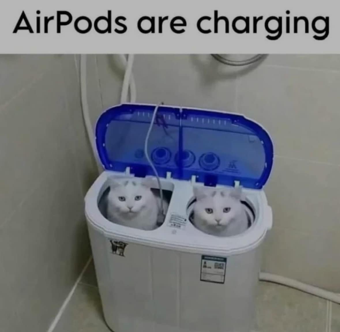 classic memes, vintage memes, viral tweets, vintage internet jokes, enduring memes, timeless comedic posts, tweet-based humor, widespread lines, popular short statements, timeless internet memes, old-school web humor, meme nostalgia, iconic net jokes, internet humor, comedic internet content, digital jokes, web-based references, cold memes, best memes