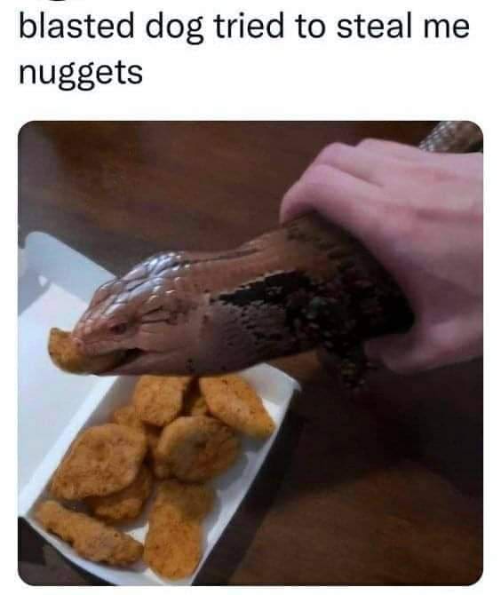 classic memes, vintage memes, viral tweets, vintage internet jokes, enduring memes, timeless comedic posts, tweet-based humor, widespread lines, popular short statements, timeless internet memes, old-school web humor, meme nostalgia, iconic net jokes, internet humor, comedic internet content, digital jokes, web-based references, cold memes, best memes