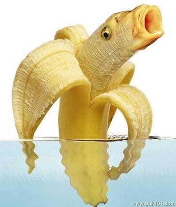 cursed images, cursed photos, haunted photos, horrifying snapshots, abominable visuals, weird pictures, odd visuals, strange imagery, freaky images, bizarre photos, peculiar shots, outlandish pics, uncanny depictions, unsettling images, disconcerting visuals, disturbing photos, eerie captures