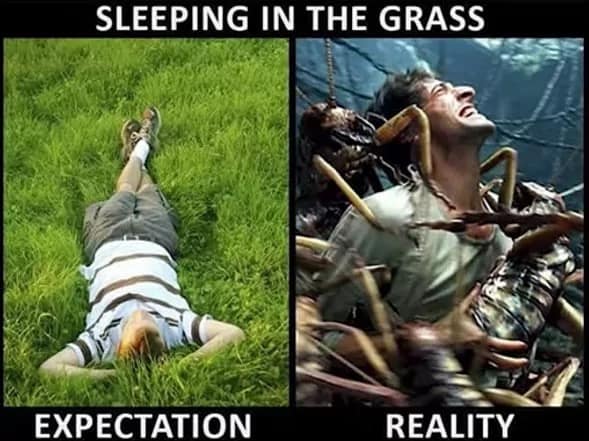 expectations vs reality, expectation vs reality, hopeful outcomes, dream vs truth, anticipated results vs actual outcomes, wishful thinking, idealized visions, optimistic planning, naive aspirations, unrealistic plans, improbable aims, overreaching goals, far-fetched dreams