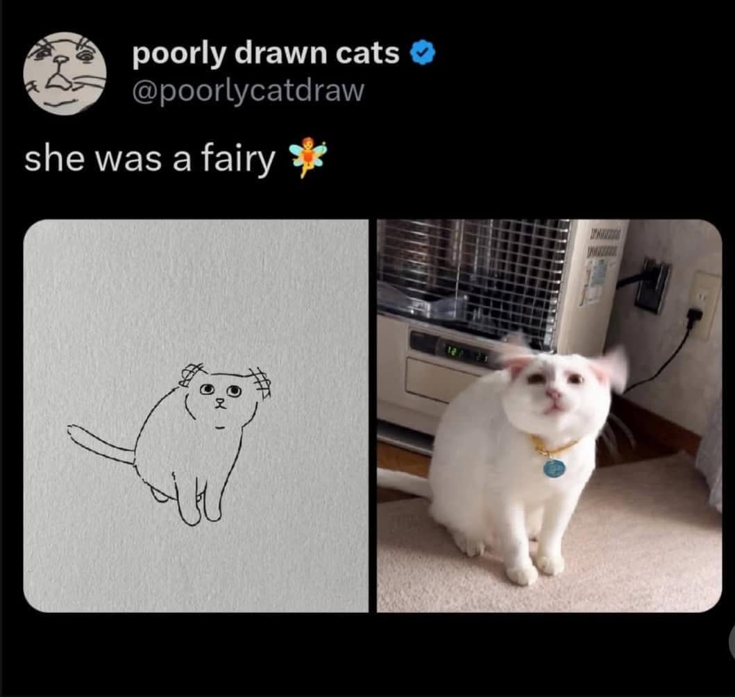 she was a fairy