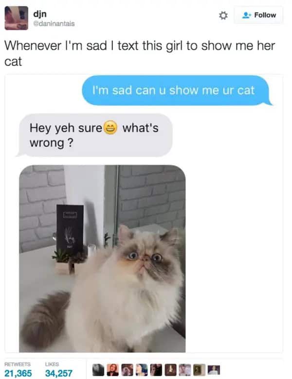 Whenever I'm sad I text this girl to show me her cat