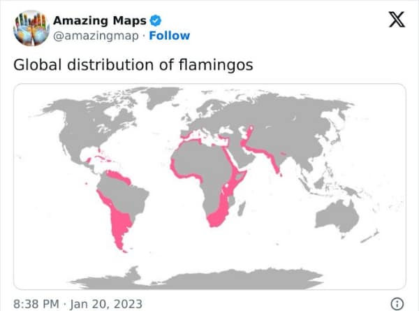 interesting maps, cool maps, fascinating maps, geographical quirks, true size maps, data visualizations, historical maps, world facts, cultural distribution, quirky geography