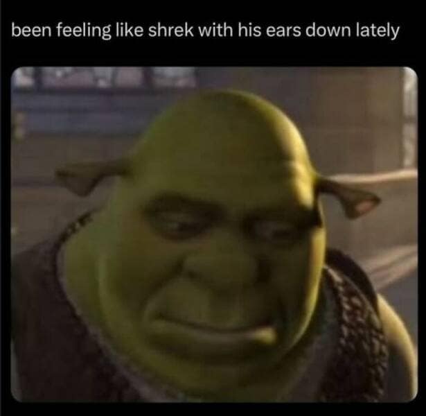 relatable memes, universal humor, shared experiences, everyday laughs, real life memes, slice-of-life images, day-to-day comedic takes, life’s quirks, everyday humor, mundane comedy, ordinary funnies, daily amusements, awkward memes, social faux pas, cringe-worthy moments, secondhand embarrassment